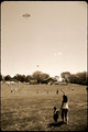 Film from 2006