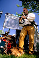 Film from 2006